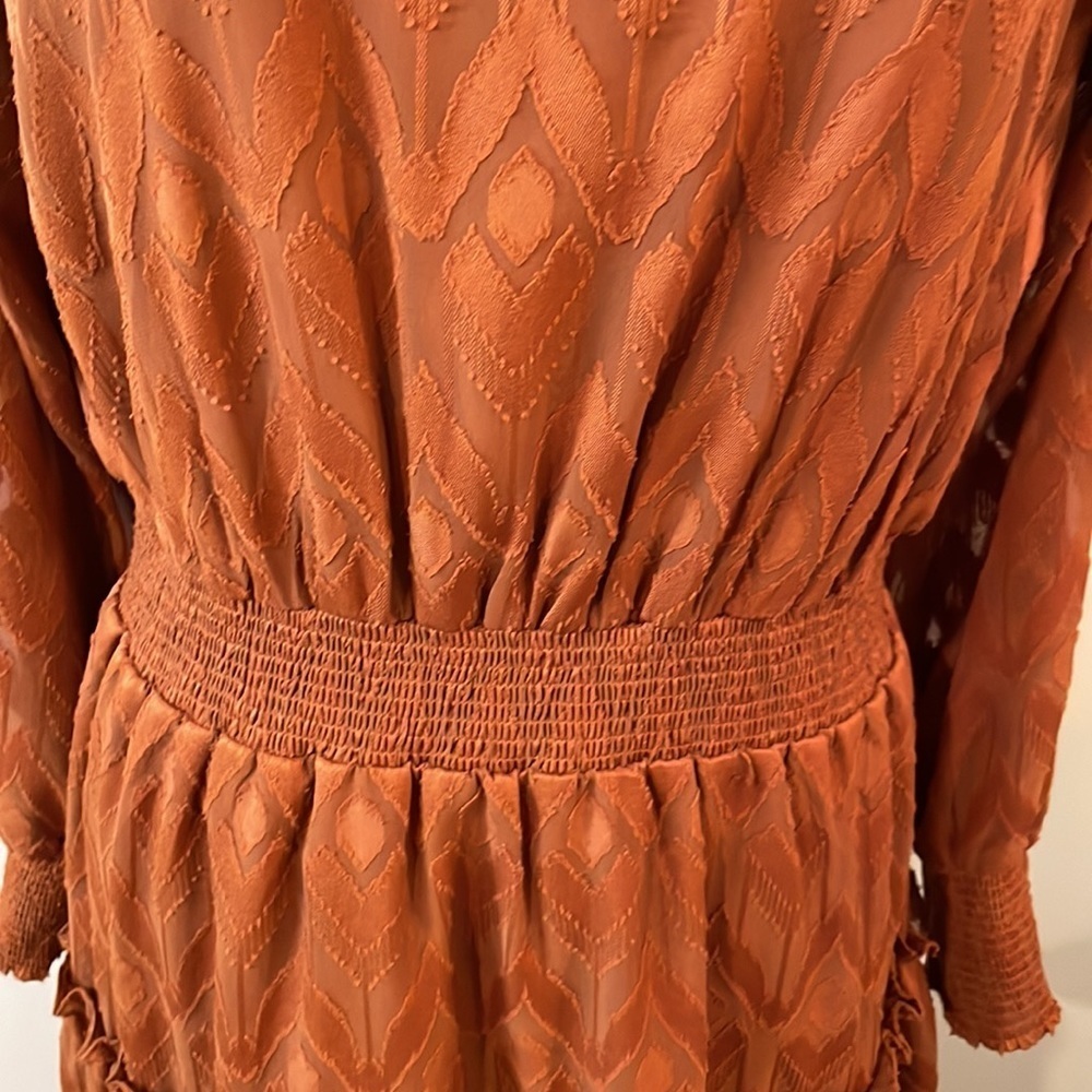 Vintage Style Ruffled Mini Dress - Picture 4 of 13
